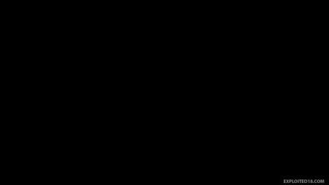 17831